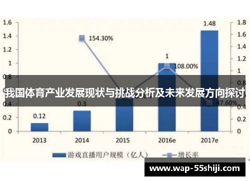 我国体育产业发展现状与挑战分析及未来发展方向探讨