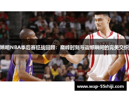 姚明NBA季后赛征战回顾：巅峰时刻与遗憾瞬间的完美交织